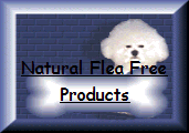 Natural flea control for pets. I have used this for over 3 years and am now selling it for new Bichon owners and anyone that may be interested in a safer alternative than the chemicals from your vet.